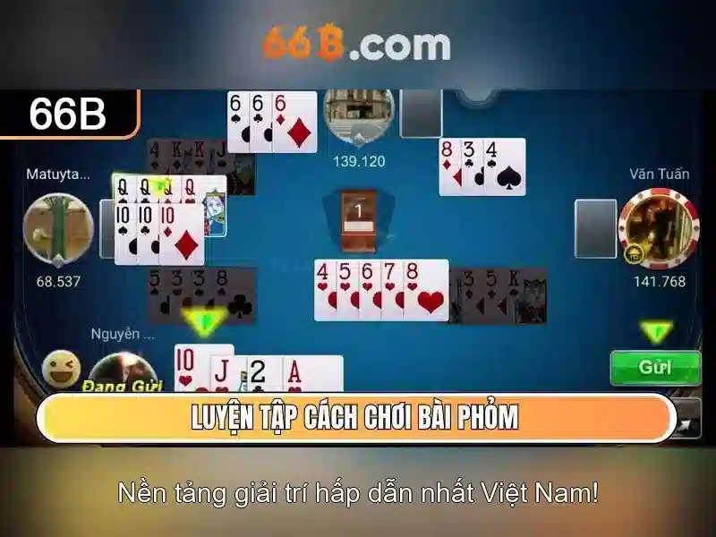 Kiến trúc và khả năng