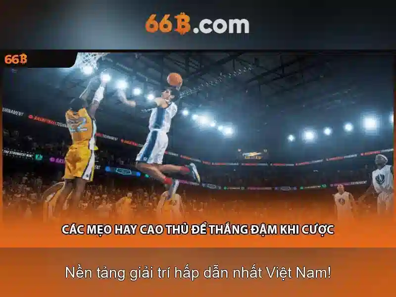 66b: Giới thiệu