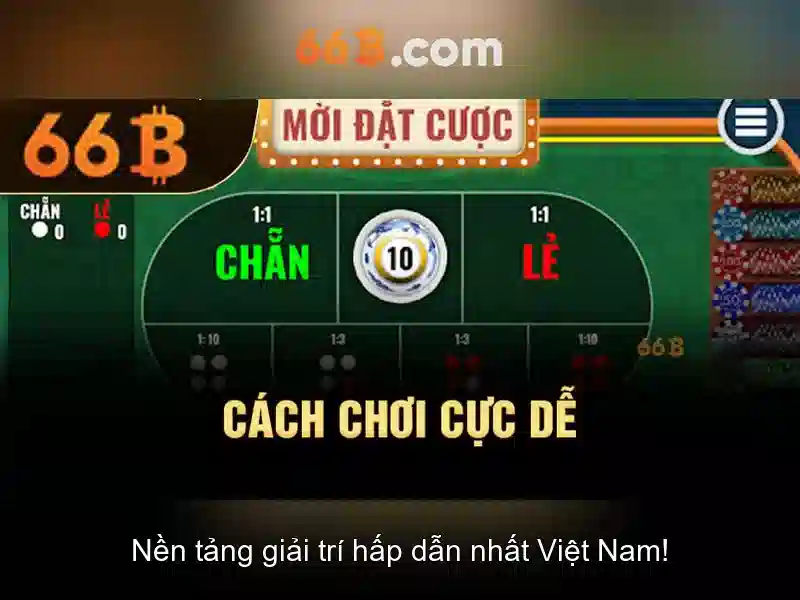 Kiến trúc và kích thước của 66B