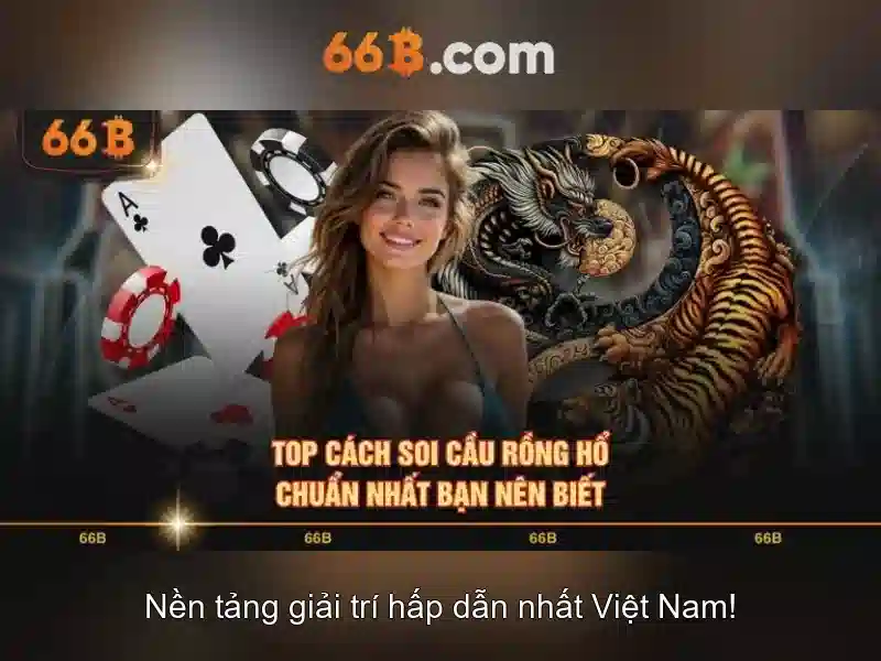 66b: Khái niệm, lịch sử và ứng dụng