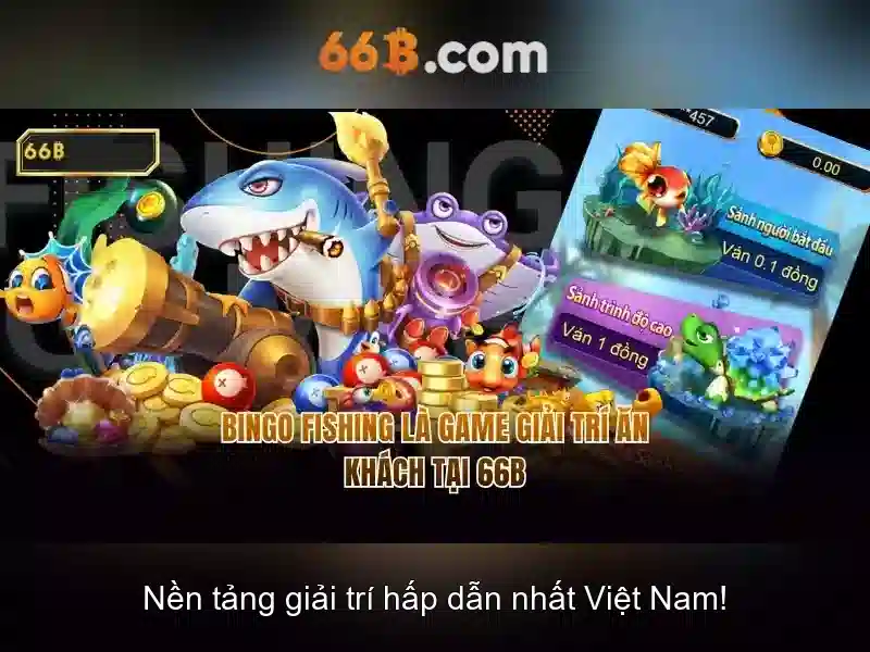 66B la gi va nhung dieu can biet