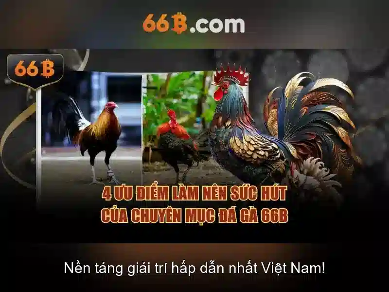 66b: một khái niệm công nghệ đang lên