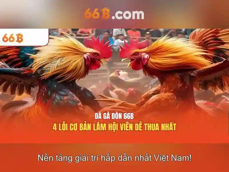 Ràng buộc và đạo đức\n<h2><b>Triển khai và bảo trì</b></h2>\n<p><span style=