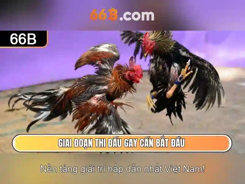Ảnh hưởng đến người dùng và doanh nghiệp
