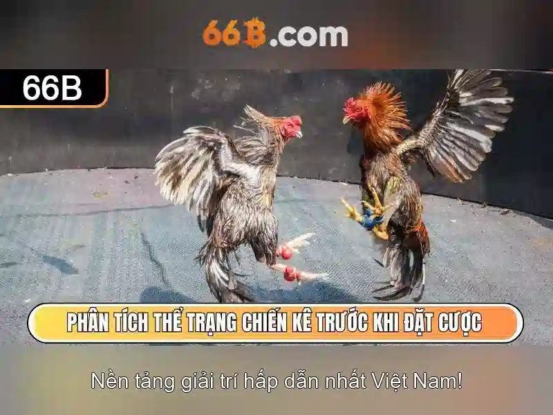 66B: Khái niệm và ứng dụng của mô hình tham số lớn