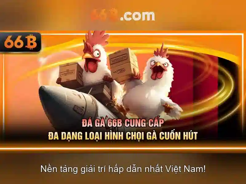 66b và những khía cạnh nổi bật