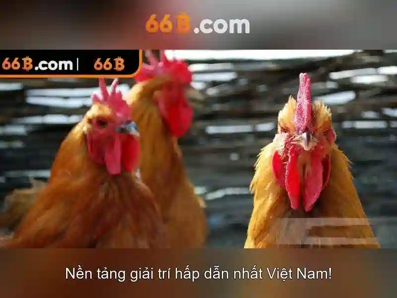 Kích thước và kiến trúc của mô hình 66B