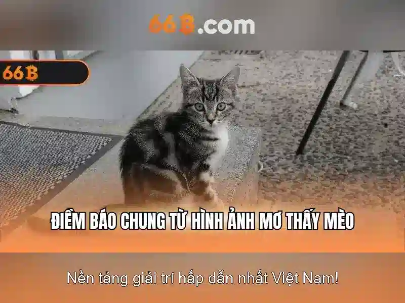 66b: một khái niệm công nghệ và bài toán dữ liệu