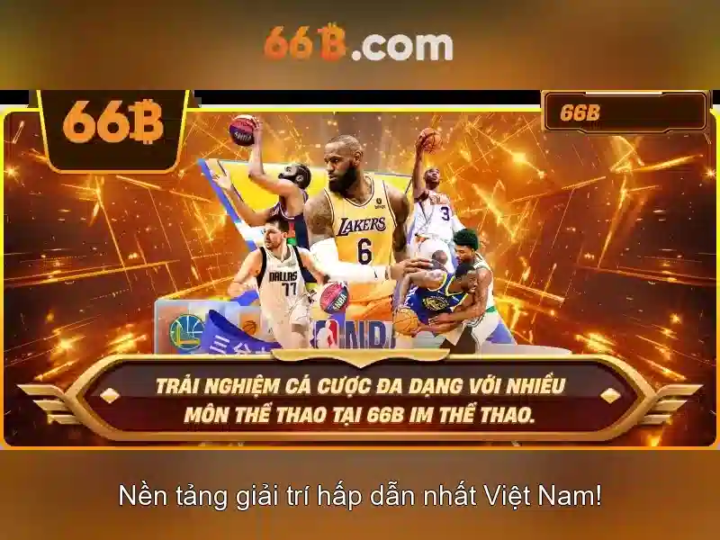 66b là gì và ý nghĩa của nó trong công nghệ