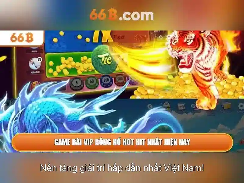 66b - một khái niệm và ý nghĩa