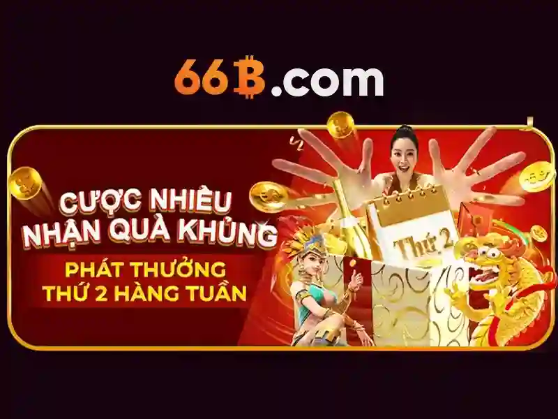66b nguyễn chí sách phường 15 tân bình – Câu chuyện mở đầu và sứ mệnh cộng đồng
