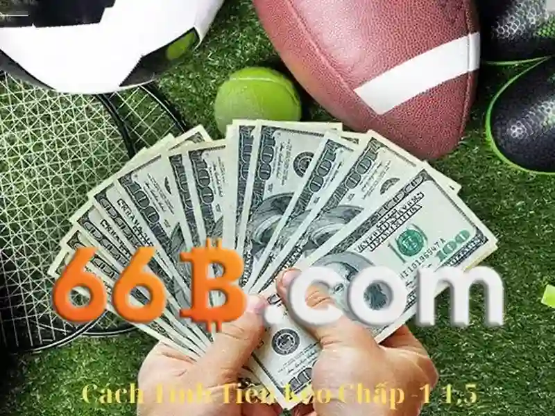 66b: một cái nhìn tổng quan về mô hình ngôn ngữ lớn