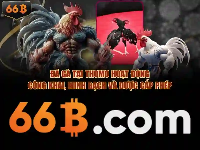 66b: Mot mo hinh ngon ngu moi cua the he AI