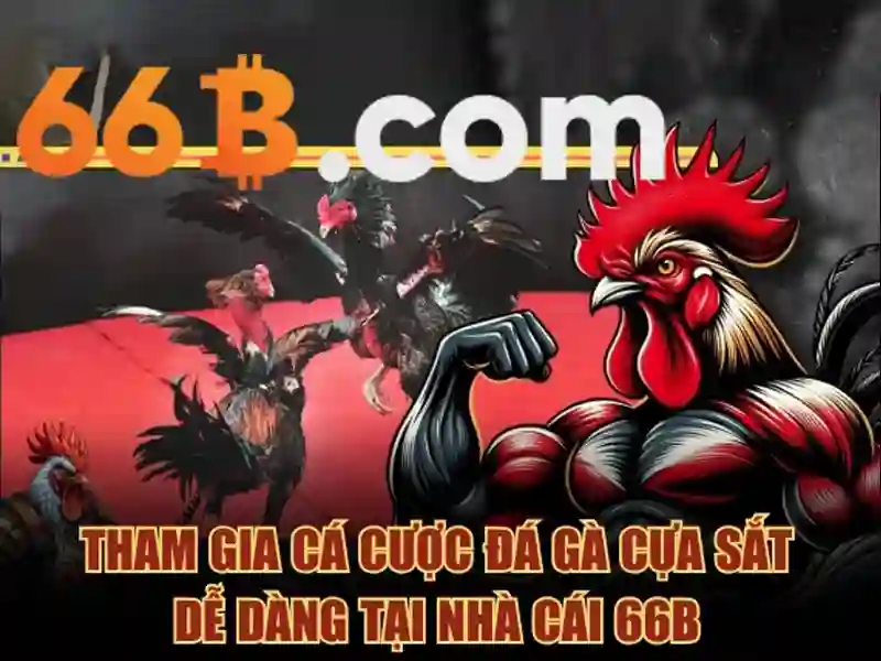 rút thưởng 66b – Tổng quan và giá trị trải nghiệm