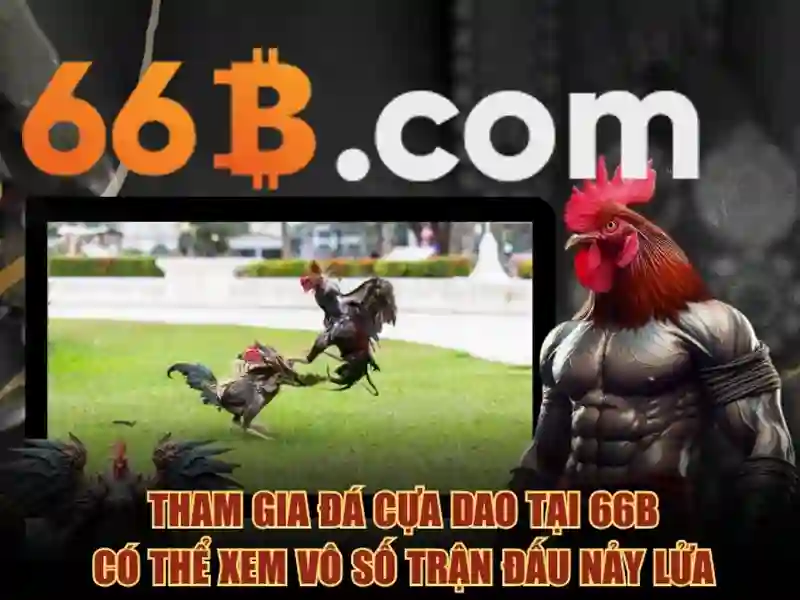 66b nguyễn sĩ sách tân bình: Nền tảng sáng tạo và kết nối