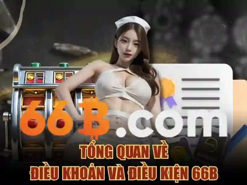 liên hệ 66b – chủ đề tổng quan và giá trị cốt lõi