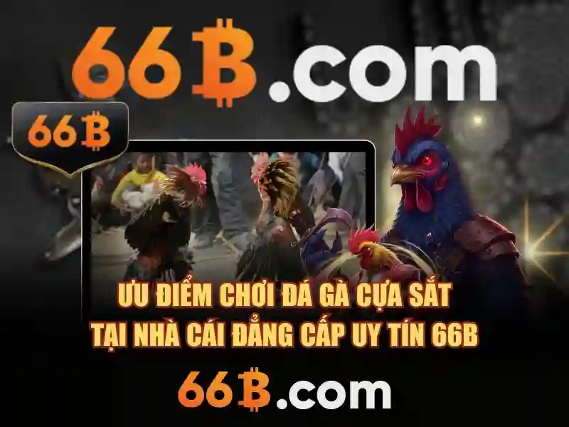 66B là gì?\n<h>Kiến trúc và đặc điểm</h>\n<p><span style=